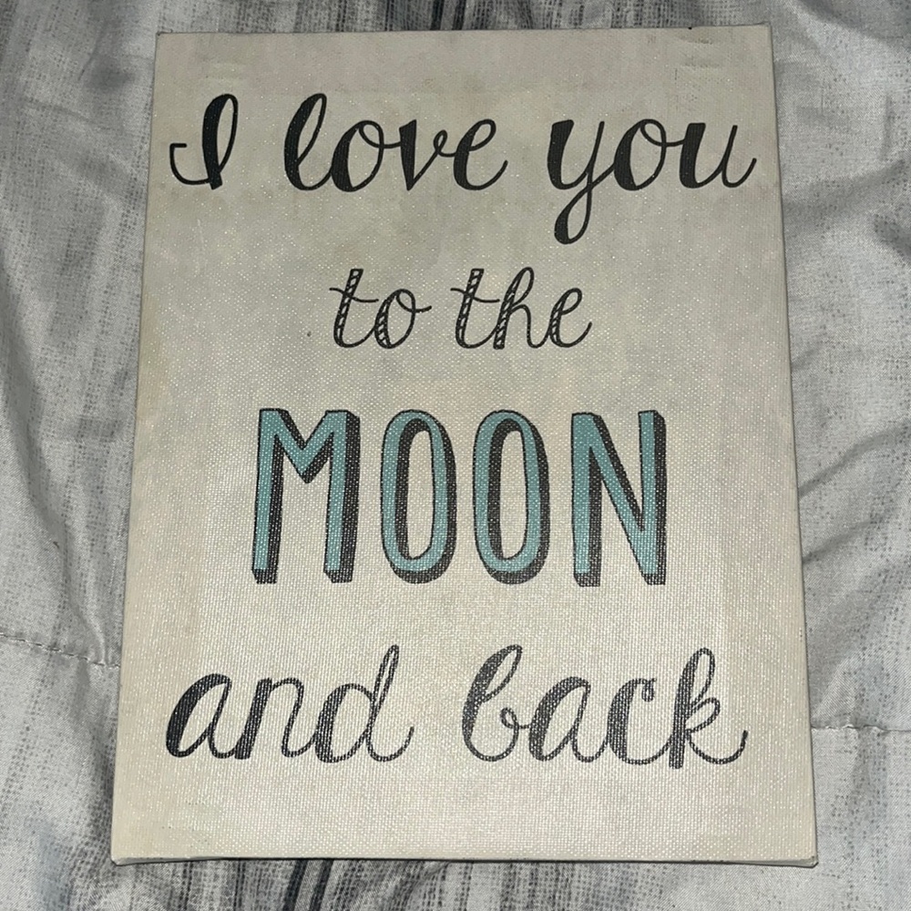 I Love You to the Moon and Back Canvas Sign
